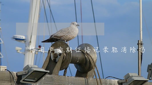 信用卡逾期征信记录能消除吗 信用卡逾期征信记录能消除吗