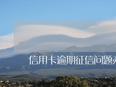 信用卡逾期征信问题办营业执照