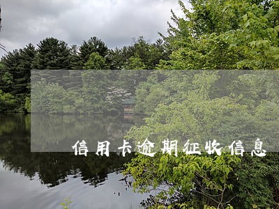 信用卡逾期征收信息 信用卡逾期征收信息