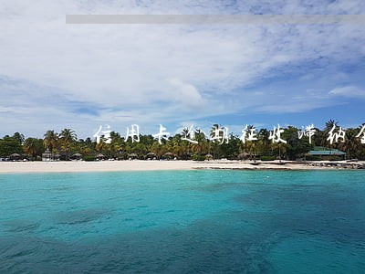 信用卡逾期征收滞纳金