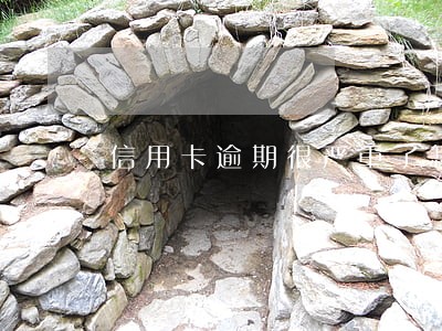 信用卡逾期很严重了怎么办