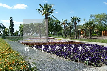 信用卡逾期很严重啊