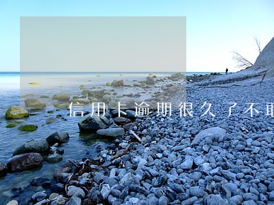 信用卡逾期很久了不敢打银行电话