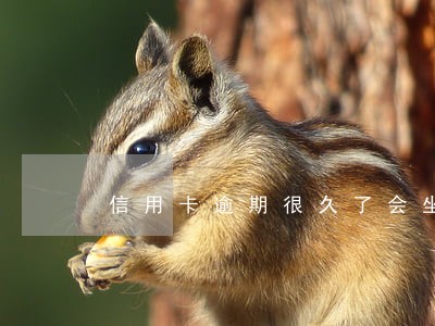 信用卡逾期很久了会坐牢吗 信用卡逾期很久了会坐牢吗