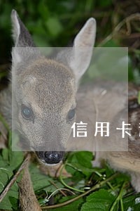 信用卡逾期很久了会有什么后果 信用卡逾期很久了会有什么后果