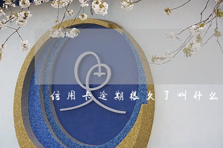 信用卡逾期很久了叫什么意思