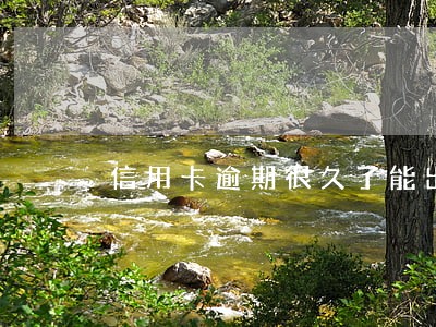信用卡逾期很久了能出港澳吗