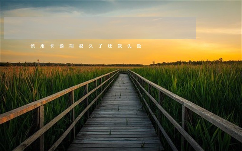 信用卡逾期很久了还款失败
