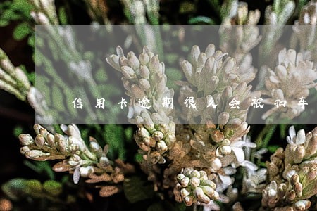 信用卡逾期很久会被扣车吗 信用卡逾期很久会被扣车吗