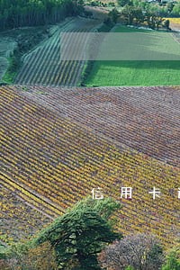 信用卡逾期很久其它储值卡会锁卡