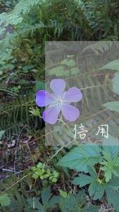 信用卡逾期很久再还钱 信用卡逾期很久再还钱