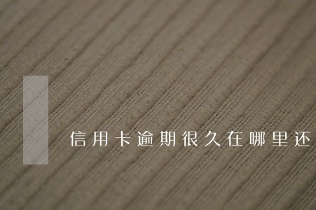 信用卡逾期很久在哪里还款