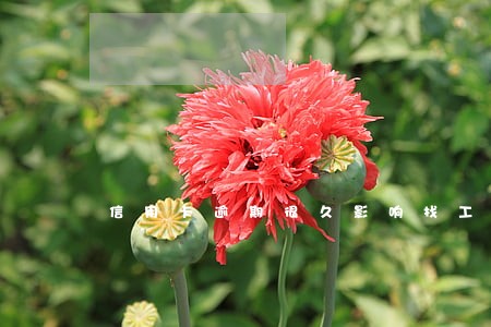 信用卡逾期很久影响找工作么 信用卡逾期很久影响找工作么