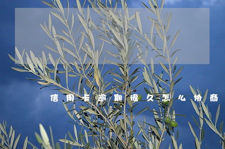 信用卡逾期很久怎么协商还本金