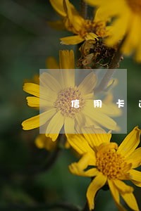 信用卡逾期很久有没有减免还款 信用卡逾期很久有没有减免还款
