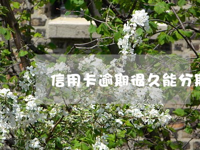 信用卡逾期很久能分期买车嘛 信用卡逾期很久能分期买车嘛