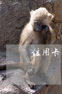 信用卡逾期很久警察会上门么