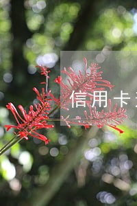 信用卡逾期很久过年会上门吗 信用卡逾期很久过年会上门吗