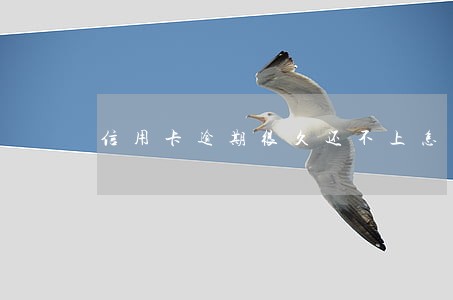 信用卡逾期很久还不上怎么办 信用卡逾期很久还不上怎么办