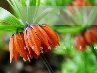 信用卡逾期很久还了以后还能用吗 信用卡逾期很久还了以后还能用吗