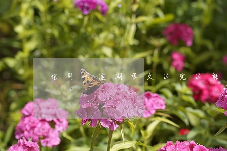 信用卡逾期很久还完还能用吗 信用卡逾期很久还完还能用吗