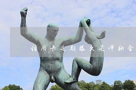 信用卡逾期很久还滞纳金怎么算 信用卡逾期很久还滞纳金怎么算