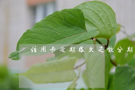 信用卡逾期很久还能分期还吗 信用卡逾期很久还能分期还吗