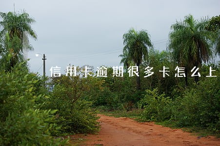 信用卡逾期很多卡怎么上岸 信用卡逾期很多卡怎么上岸