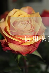信用卡逾期很多年被核销了