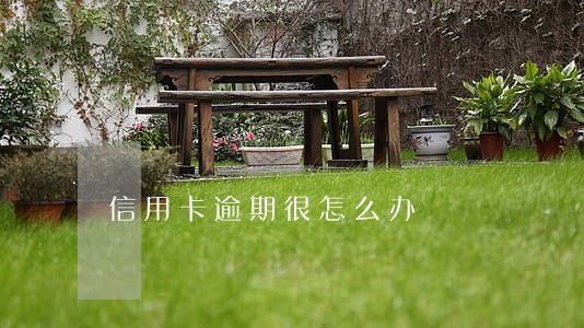 信用卡逾期很怎么办 信用卡逾期很怎么办