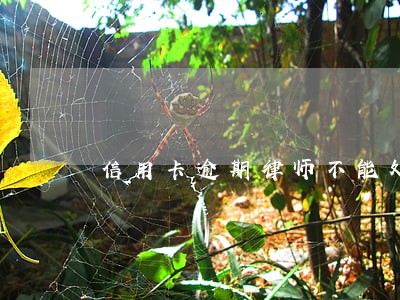信用卡逾期律师不能处理吗 信用卡逾期律师不能处理吗