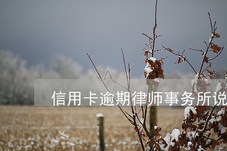 信用卡逾期律师事务所说报警 信用卡逾期律师事务所说报警