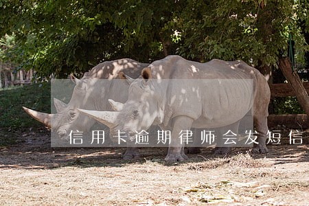 信用卡逾期律师会发短信吗 信用卡逾期律师会发短信吗