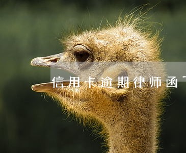 信用卡逾期律师函下一步 信用卡逾期律师函下一步