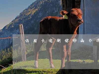 信用卡逾期律师函不清 信用卡逾期律师函不清