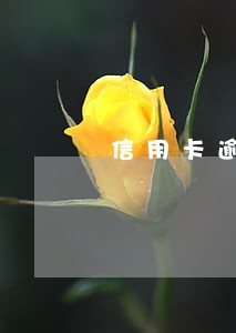 信用卡逾期律师函会上诉吗 信用卡逾期律师函会上诉吗