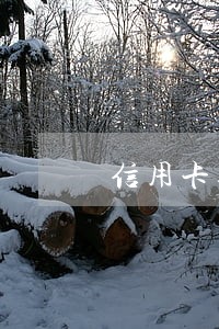 信用卡逾期律师函如何处理
