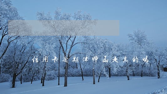 信用卡逾期律师函是真的吗 信用卡逾期律师函是真的吗