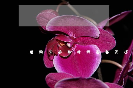 信用卡逾期律师函每天还可以吗