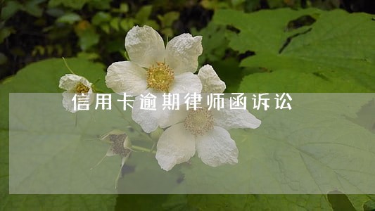 信用卡逾期律师函诉讼 信用卡逾期律师函诉讼