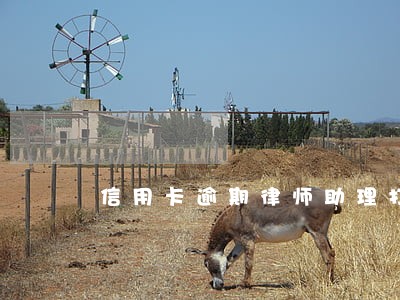 信用卡逾期律师助理打电话 信用卡逾期律师助理打电话