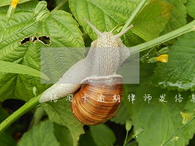 信用卡逾期律师发信息给你 信用卡逾期律师发信息给你