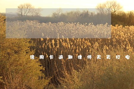 信用卡逾期律师天天打电话 信用卡逾期律师天天打电话