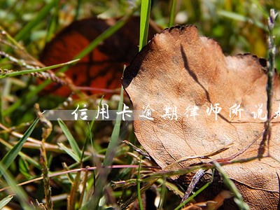 信用卡逾期律师所说起诉了 信用卡逾期律师所说起诉了