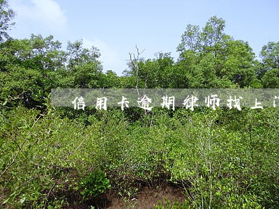 信用卡逾期律师找上门怎么处理 信用卡逾期律师找上门怎么处理