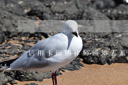 信用卡逾期律师通知去派出所 信用卡逾期律师通知去派出所