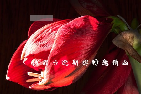 信用卡逾期律师邀请函 信用卡逾期律师邀请函