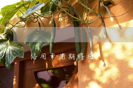信用卡逾期得癌 信用卡逾期得癌