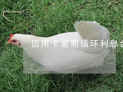 信用卡逾期循环利息合法吗 信用卡逾期循环利息合法吗