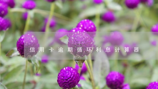 信用卡逾期循环利息计算器 信用卡逾期循环利息计算器